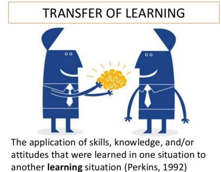 迁移学习101: Transfer learning, pretrained learning, fine tuning 代码与例程分析 源码实践